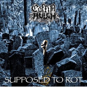 Supposed to Rot (Single)