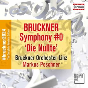 Symphony in D Minor, WAB 100 "Die Nullte": III. Scherzo. Presto - Trio. Langsamer und ruhiger