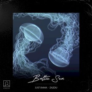 Baltic Sea (Luca Bacchetti Northern Light Remix)