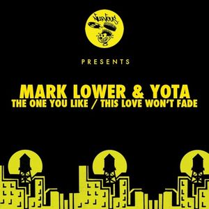 The One You Like / This Love Won't Fade (Single)