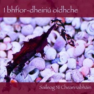 i bhfior-dheiriú oidhche