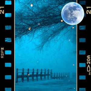 Carol of the Bells (Single)