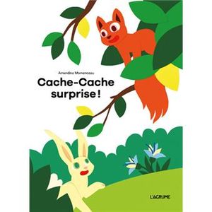 Cache-Cache surprise !