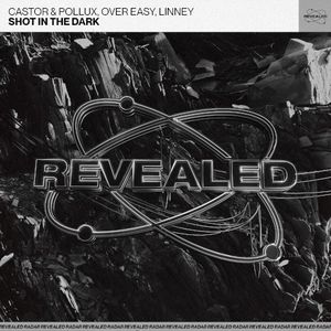 Shot in the Dark (Single)