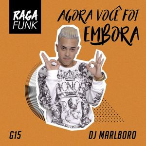 Agora Você Foi Embora (Single)