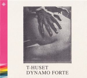 T-huset