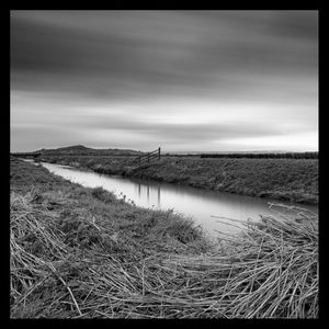 Desolation (Single)