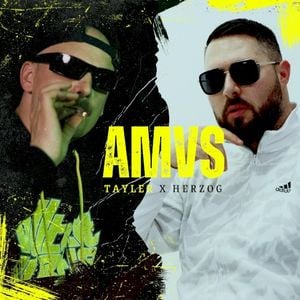 AMVS (Single)