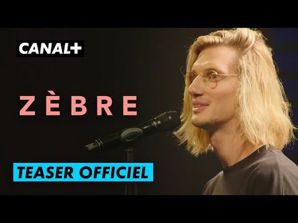 Paul Mirabel - Zèbre