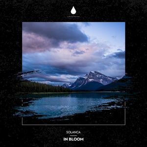 In Bloom (Single)