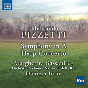 Harp Concerto in E-flat major: I. Andante mosso, arioso