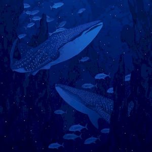 Lunar Pools (Single)