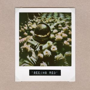 Seeing Red (Single)