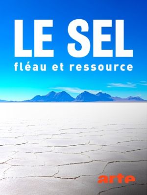 Le sel - Fléau et ressource