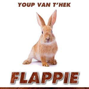 Flappie