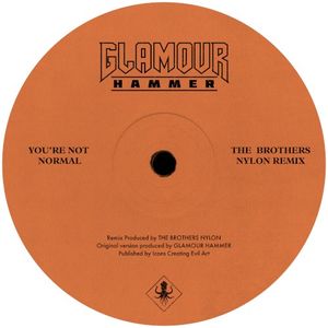 You’re Not Normal (The Brothers Nylon remix) (Single)