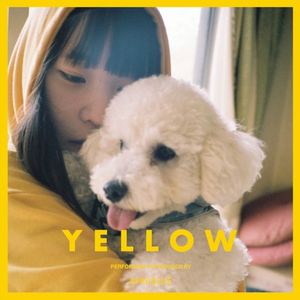 イエロー (Single)
