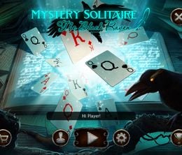image-https://media.senscritique.com/media/000021784108/0/mystery_solitaire_the_black_raven.jpg