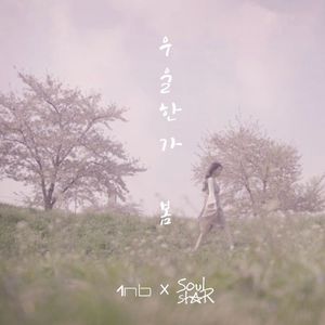 앨범 정보 (Single)