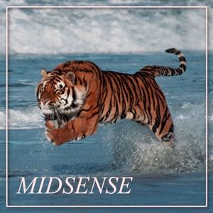 Midsense, Vol. 3