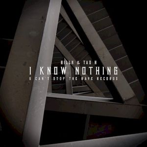 I Know Nothing (Single)