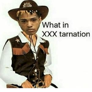 What in XXXTarnation (Single)