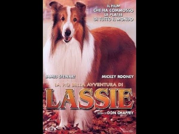 La Grande Randonnée de Lassie