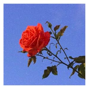 Forever Waiting 4 U (Single)