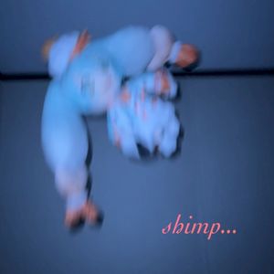 エビチャーハン! (You’re Telling Me A SHRIMP Fried This Rice?!) (Single)