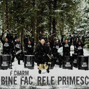 Bine fac, rele primesc (Single)