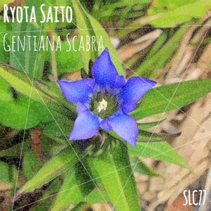 Gentiana Scabra (EP)