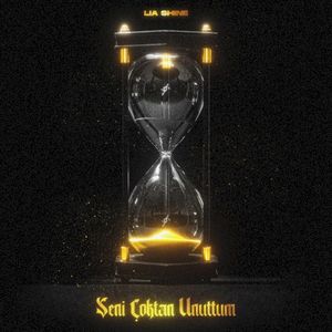 Seni Çoktan Unuttum (Single)