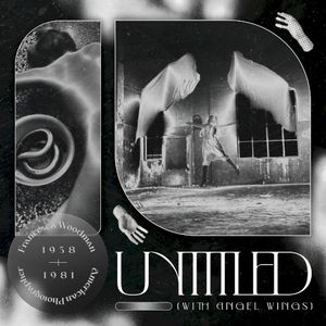 Untitled (from eel series) 1978