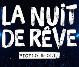 image-https://media.senscritique.com/media/000021801121/0/la_nuit_de_reve_de_bigflo_et_oli.jpg