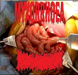 Myxorrhoea / Bowel Fermentation