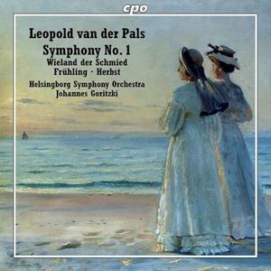 Symphony No. 1 in F-Sharp Minor, Op. 4: IV. Allegro molto
