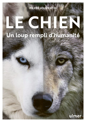 Le Chien