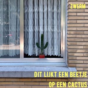 The music of 'Dit lijkt een beetje op een cactus'