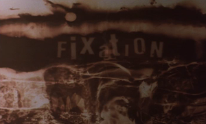 Fixation