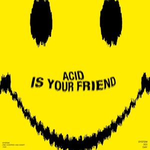 System 303 Day: Acid Is Your Friend