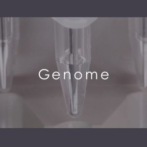 Genome (OST)