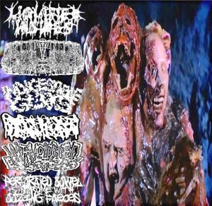 Liquified Insides / Butyric Fermentation Abuse / Indigestible Guts / Hydrocephalus / Wormclogged Blisters / Perforated Bowel Syn