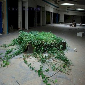 S a v i n g s 貯蓄