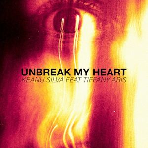 Unbreak My Heart (Single)
