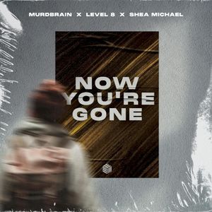 Now You’re Gone (Single)