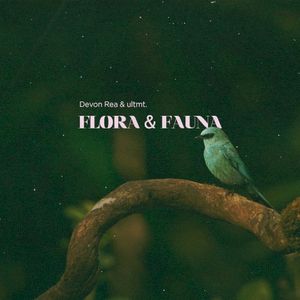 Flora & Fauna (Single)