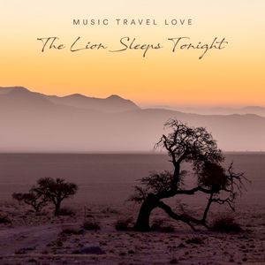 The Lion Sleeps Tonight (Single)