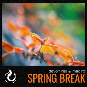 Spring Break (Single)