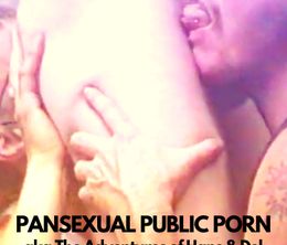 image-https://media.senscritique.com/media/000021811219/0/pansexual_public_porn_aka_the_adventures_of_hans_et_del.jpg