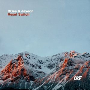 Reset Switch (Single)